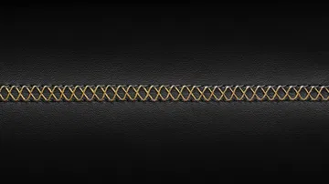 Bentley Nuevo Logo Centenario 0918 007