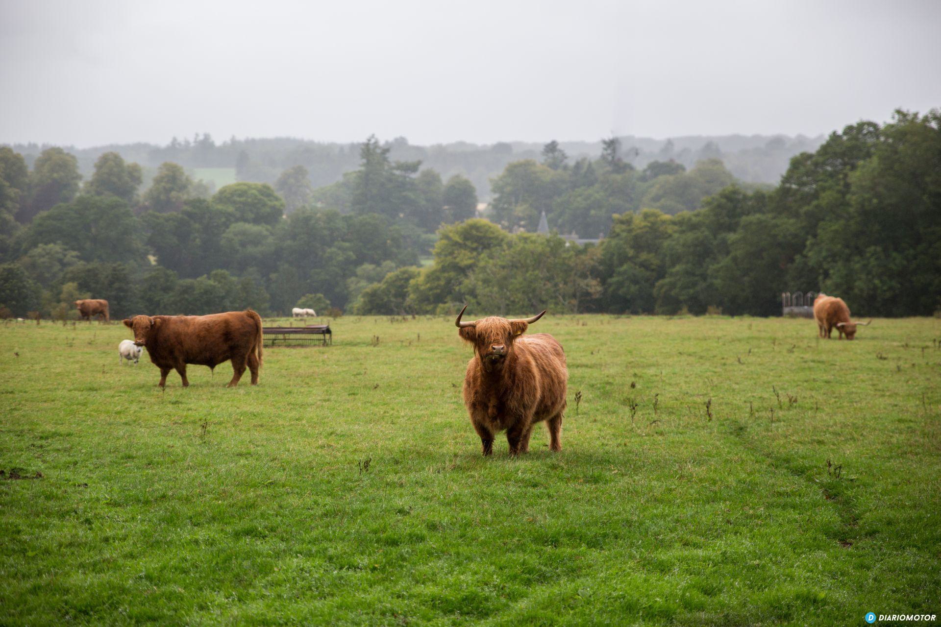 Mazda Cx 5 Prueba Uk 124