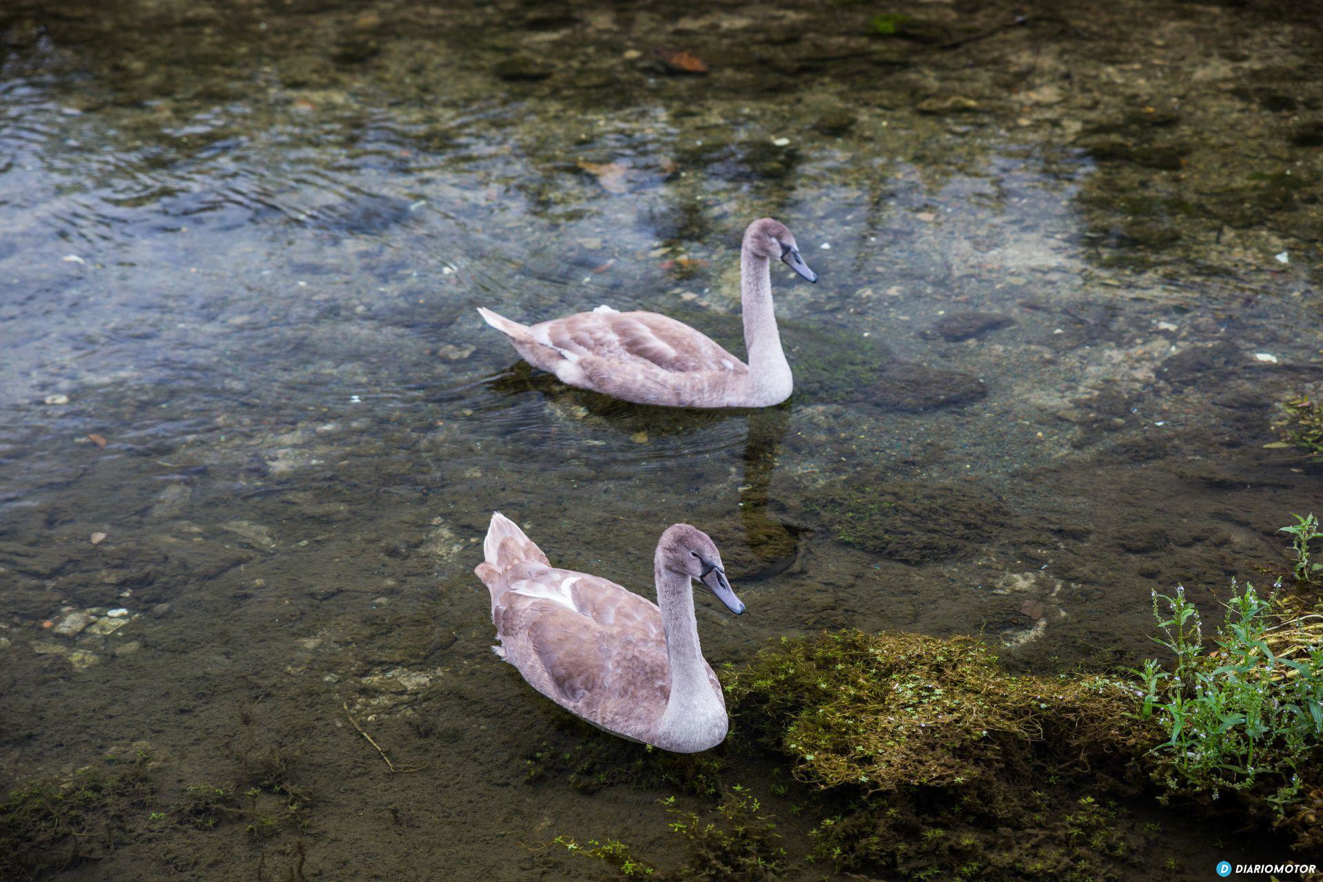 Mazda Cx 5 Prueba Uk 139