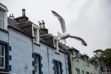Mazda Cx 5 Prueba Uk 70