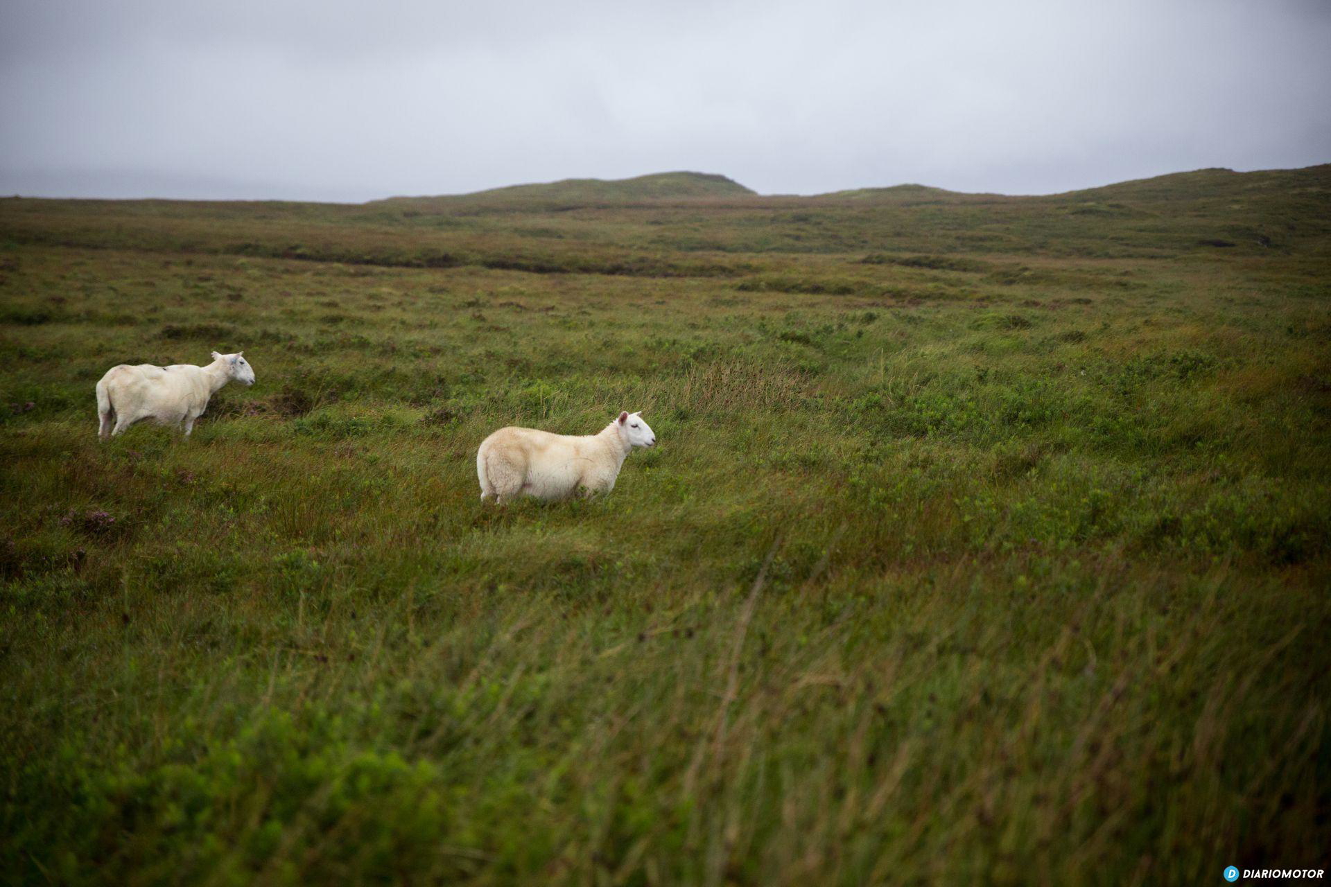 Mazda Cx 5 Prueba Uk 76