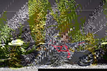 1623513 Ducati Scrambler Desert Sled Ambience 01 Uc67948 High