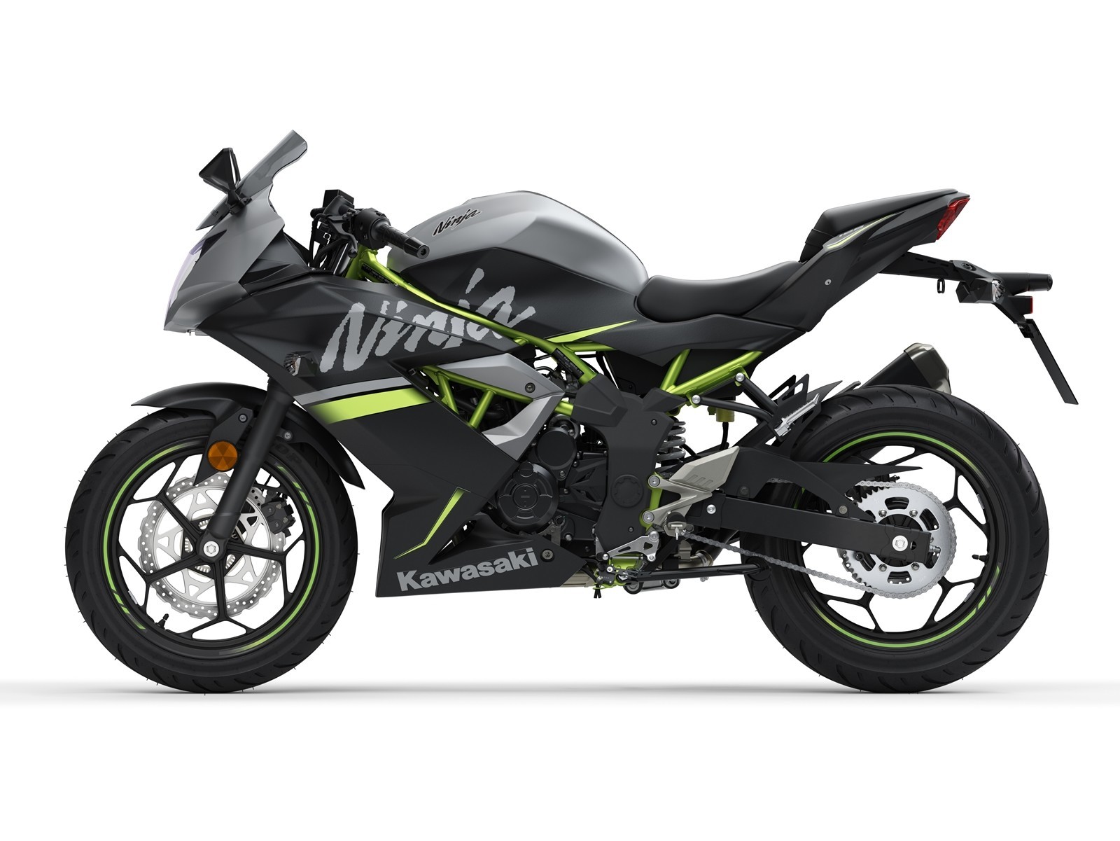 Kawasaki Ninja 125 Dm 1