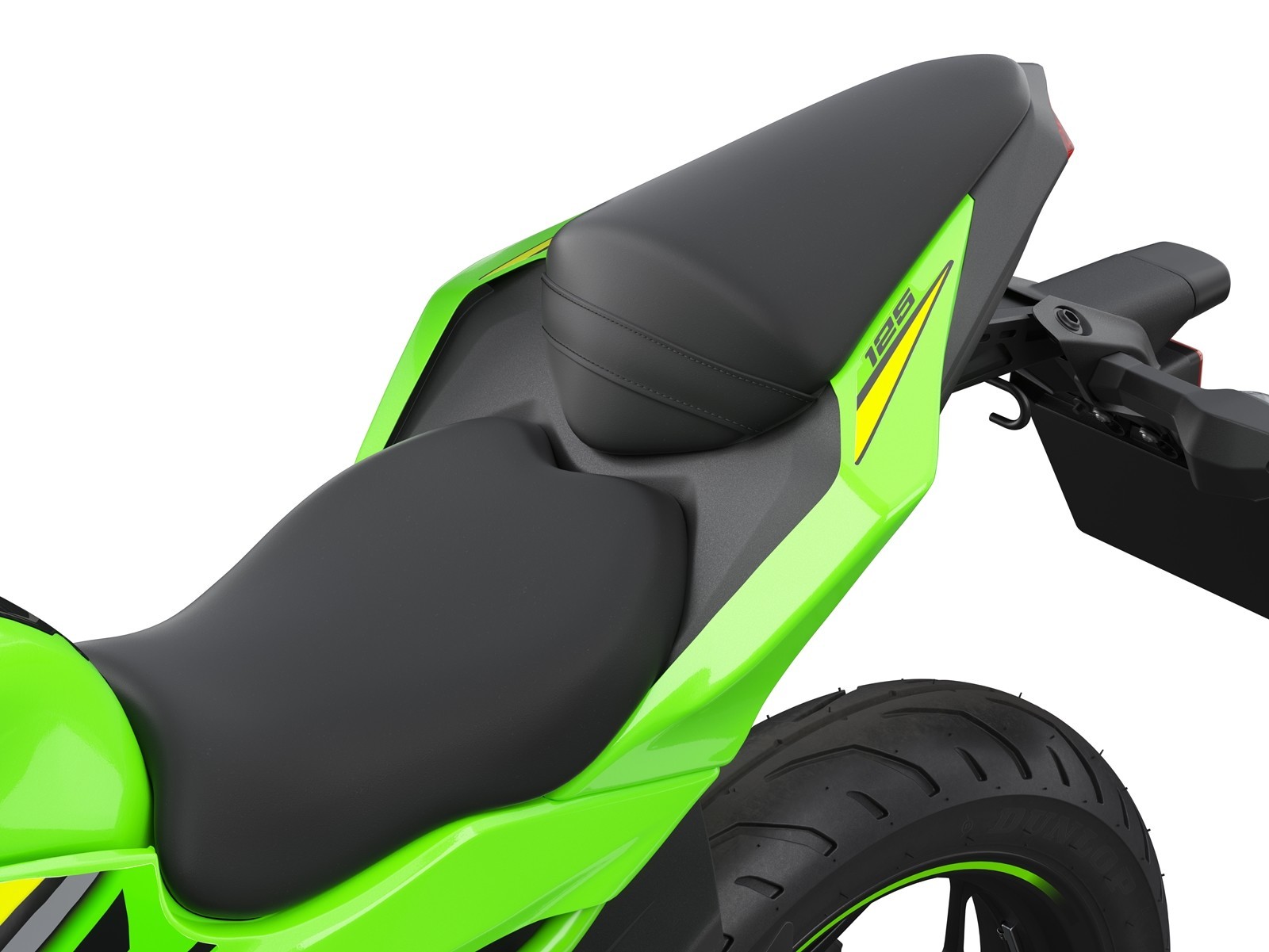 Kawasaki Ninja 125 Dm 10