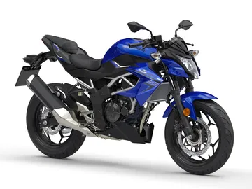 Kawasaki Z 125 Dm 10