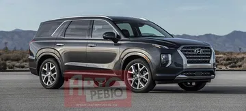 Hyundai Palisade Filtrado P Hyundai Palisade Filtrado P