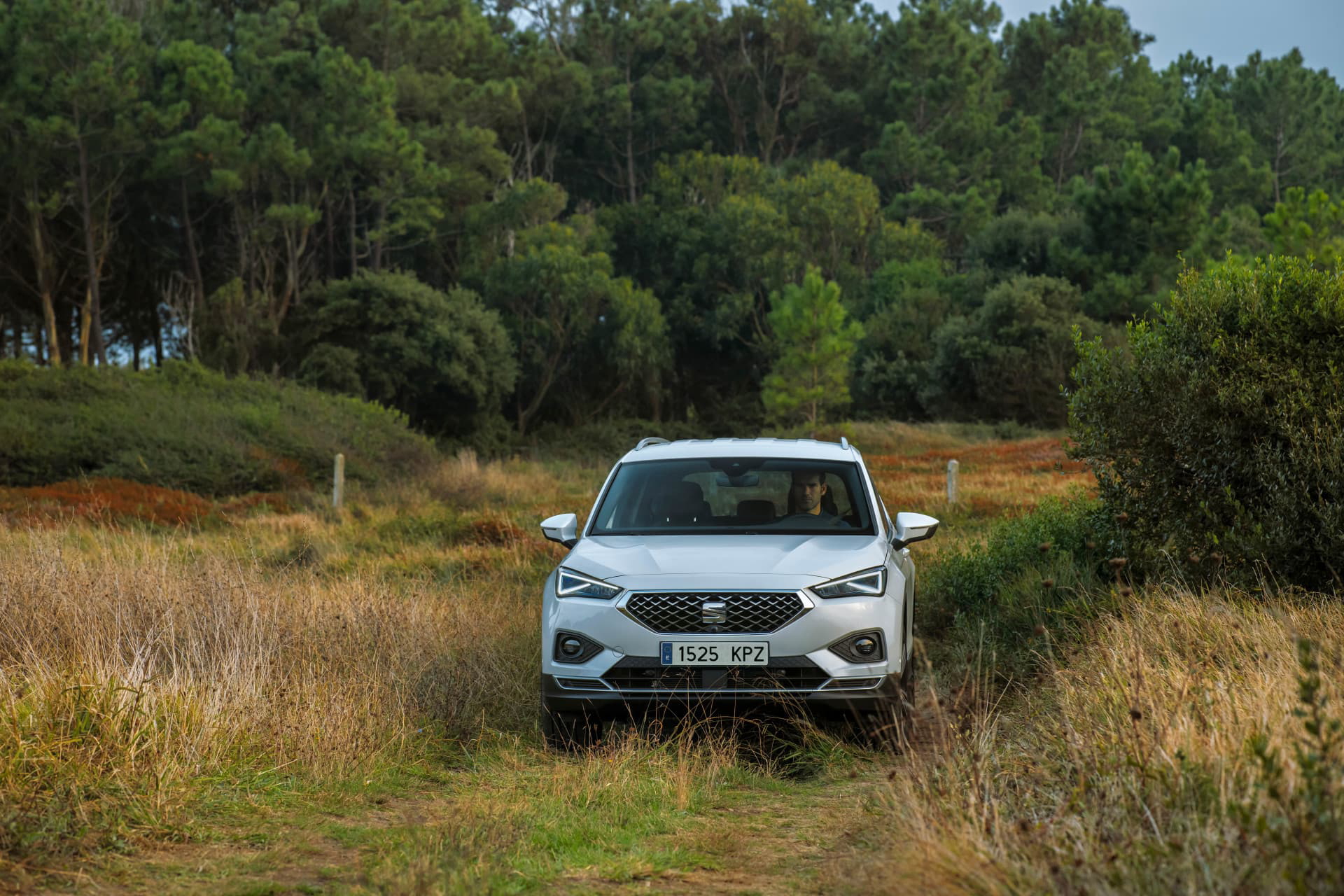 Seat Tarraco 077h