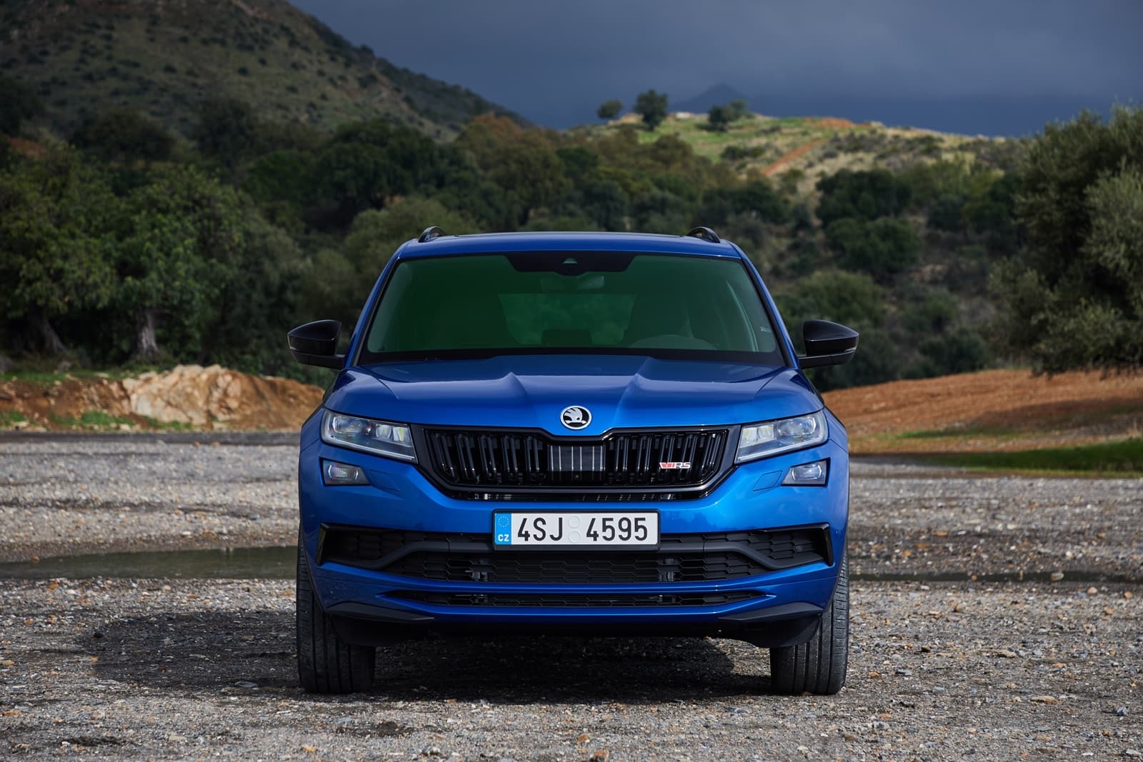 Skoda Kodiaq Rs 1218 044