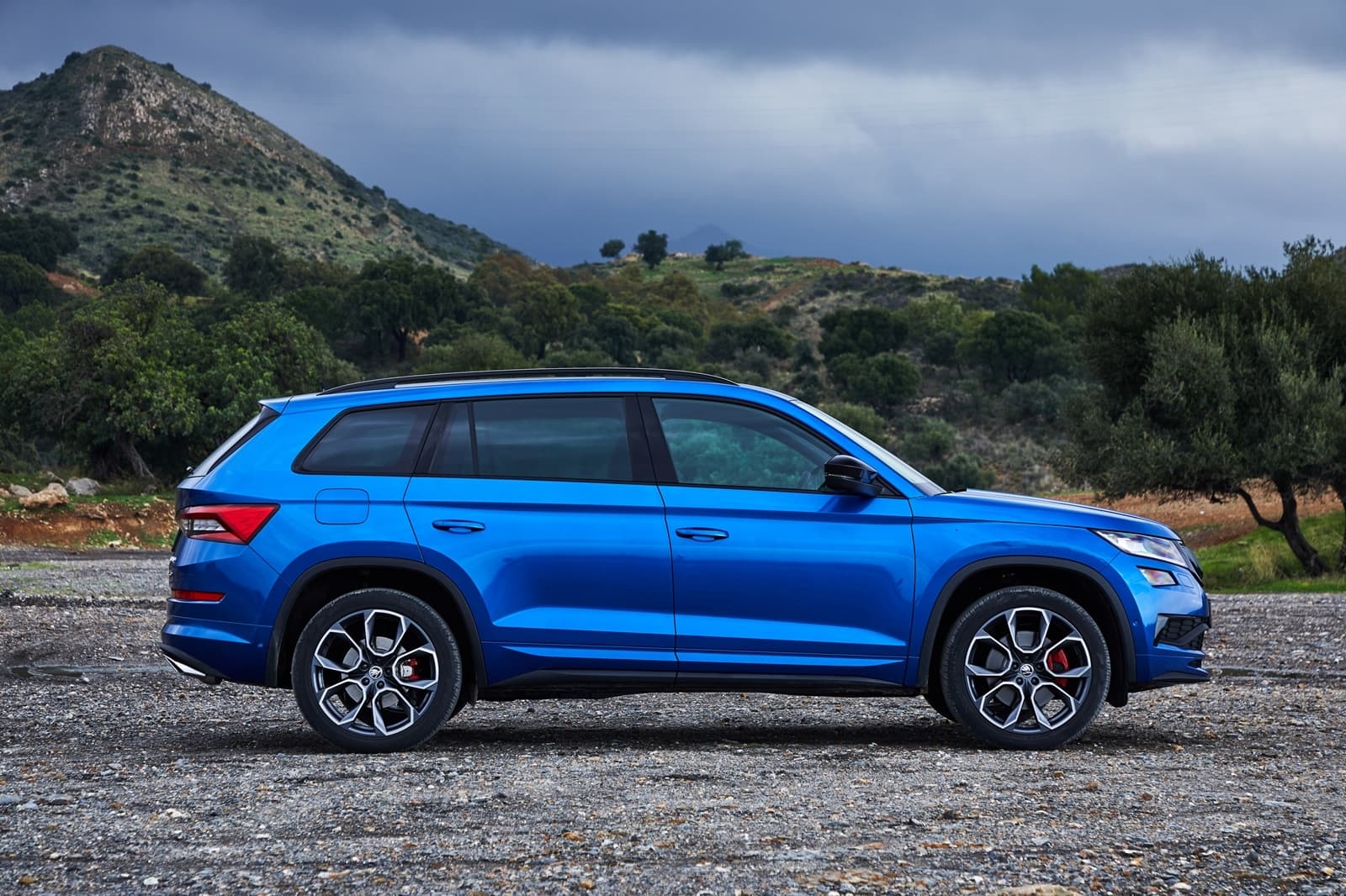 Skoda Kodiaq Rs 1218 046