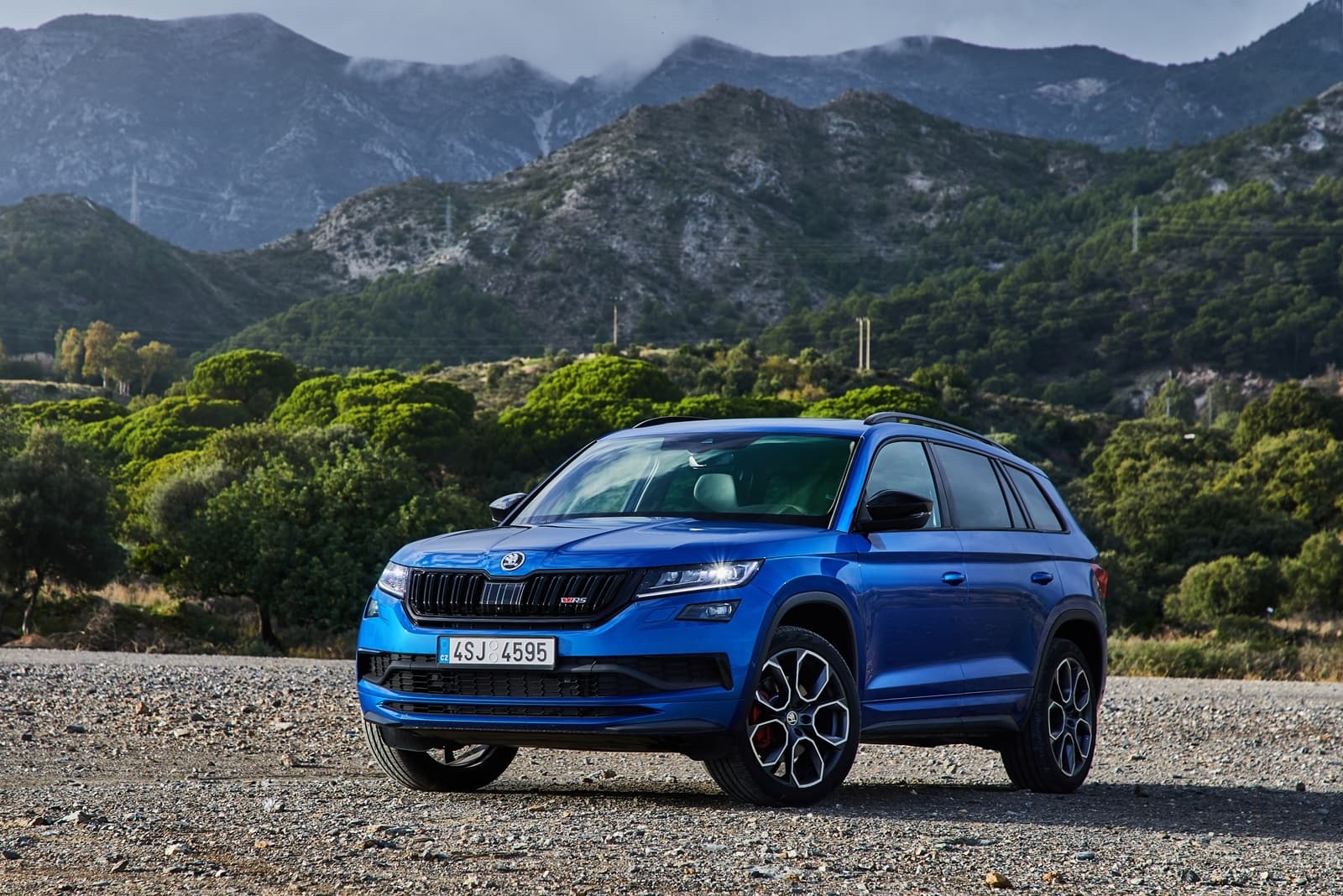 Skoda Kodiaq Rs 1218 053