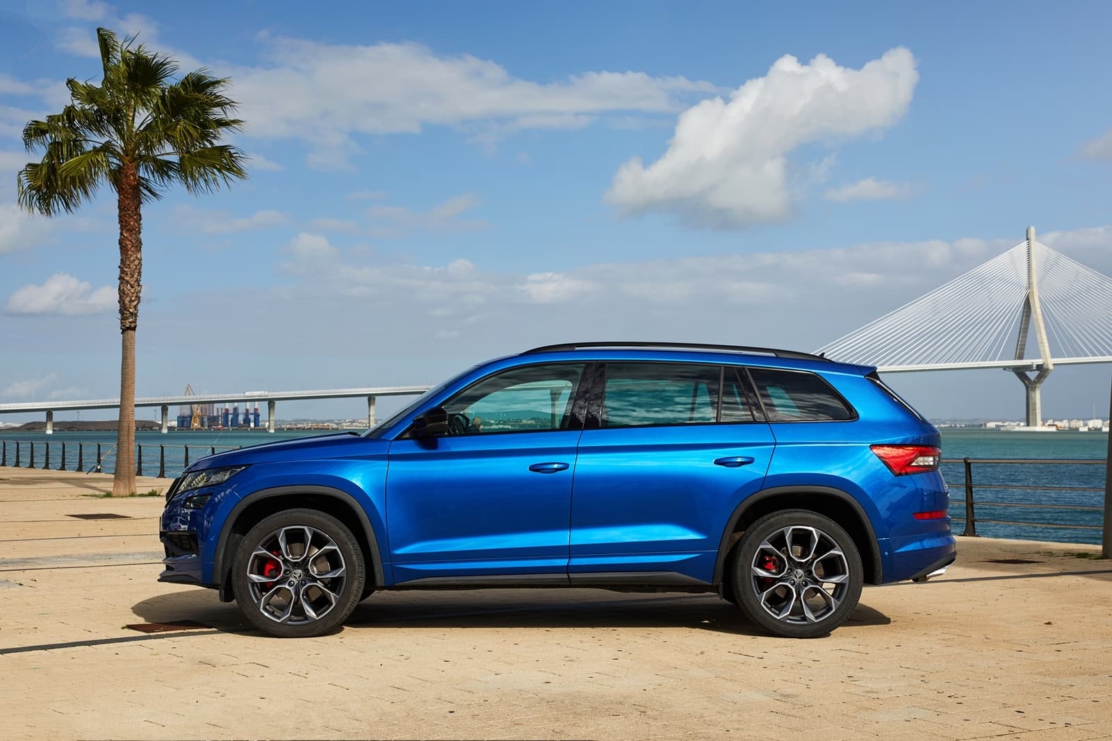 Skoda Kodiaq Rs 1218 061