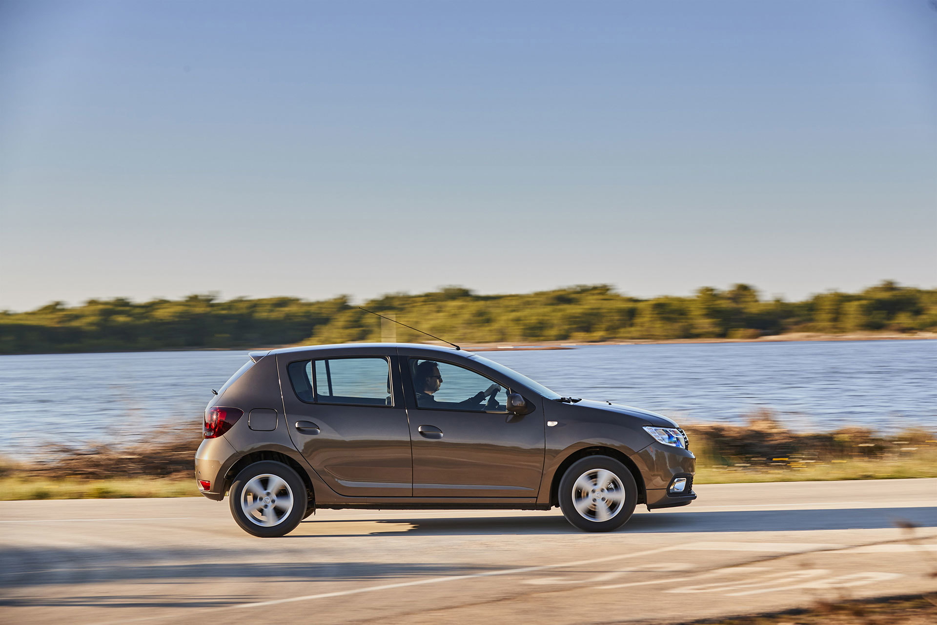 Dacia Sandero 2019 Marron Exterior 12