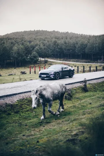 Ford Mustang Bullit Prueba Ford Mustang 15