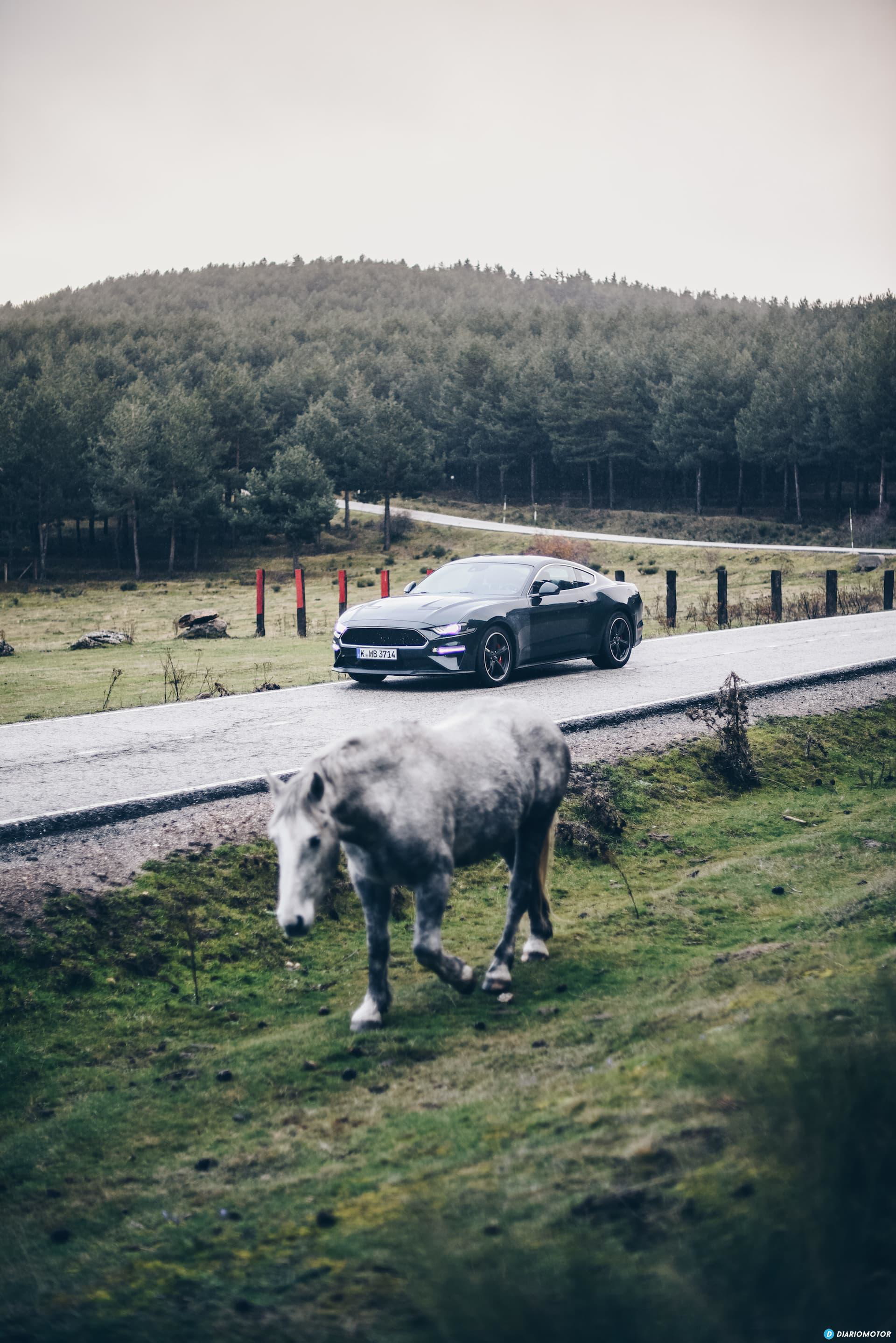 Ford Mustang Bullit Prueba Ford Mustang 15