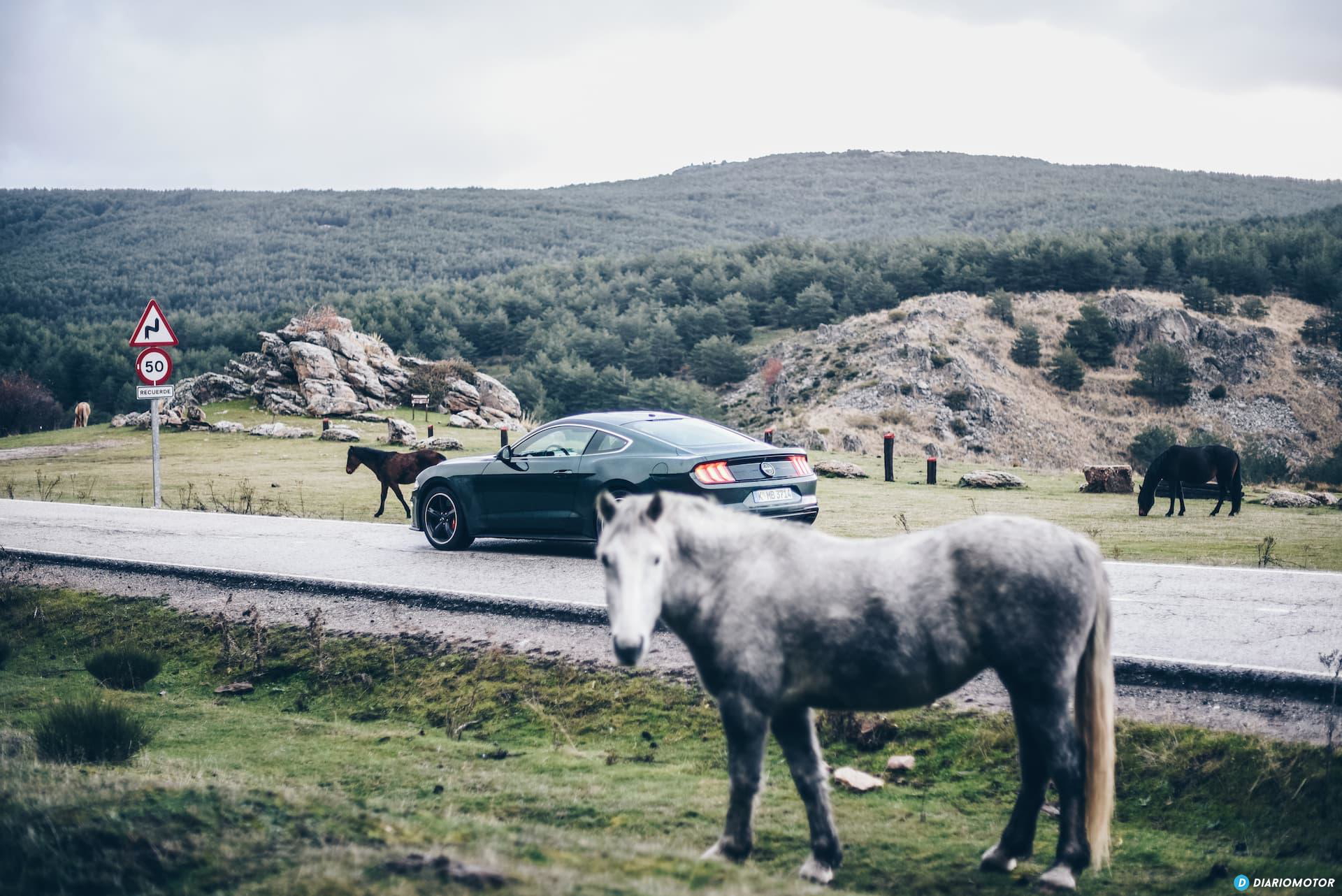Ford Mustang Bullit Prueba Ford Mustang 16