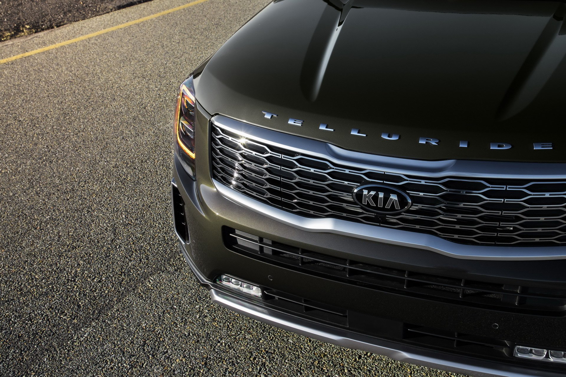 Kia Telluride 2019 1