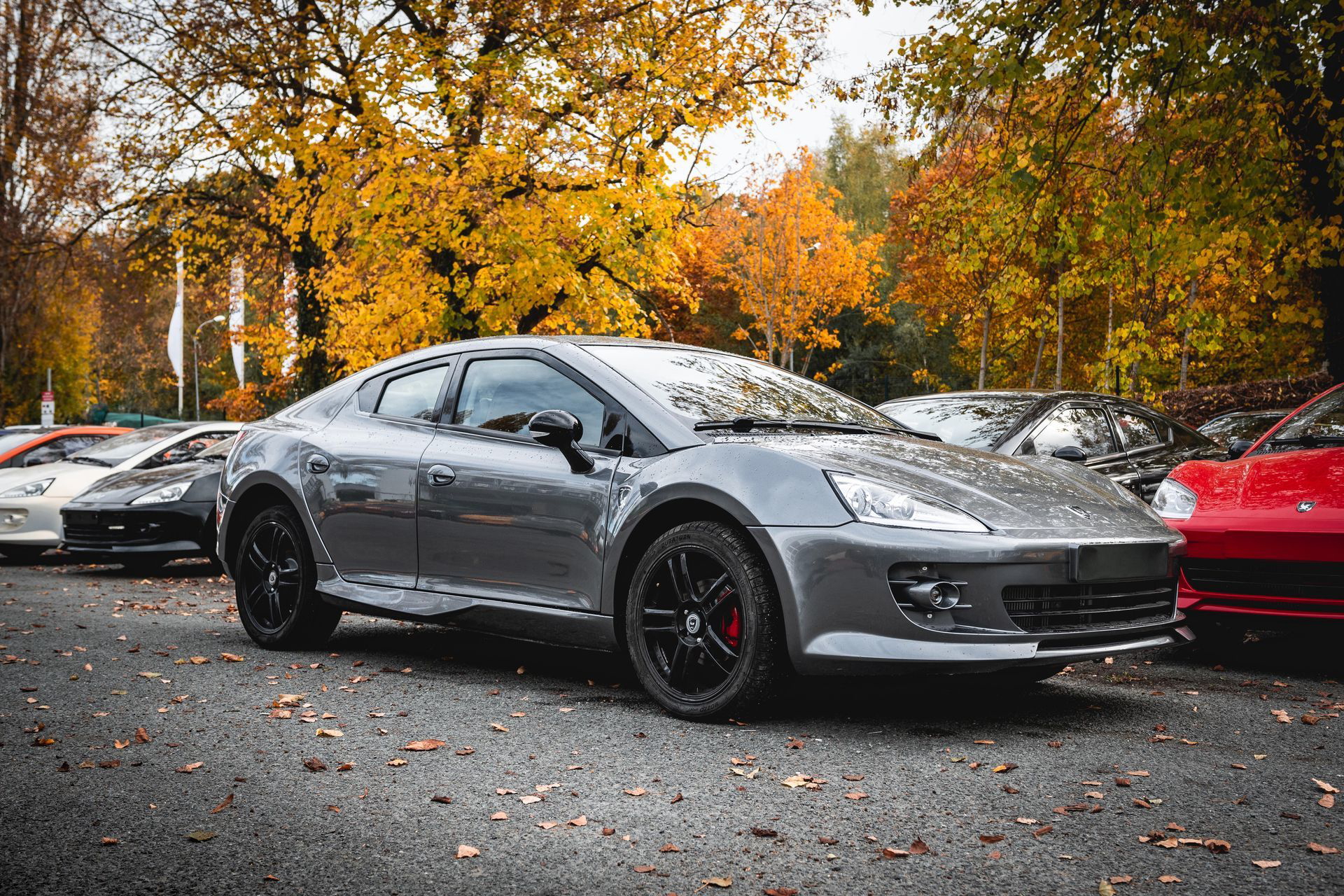 Mpm Erelis Deportivo Low Cost 10