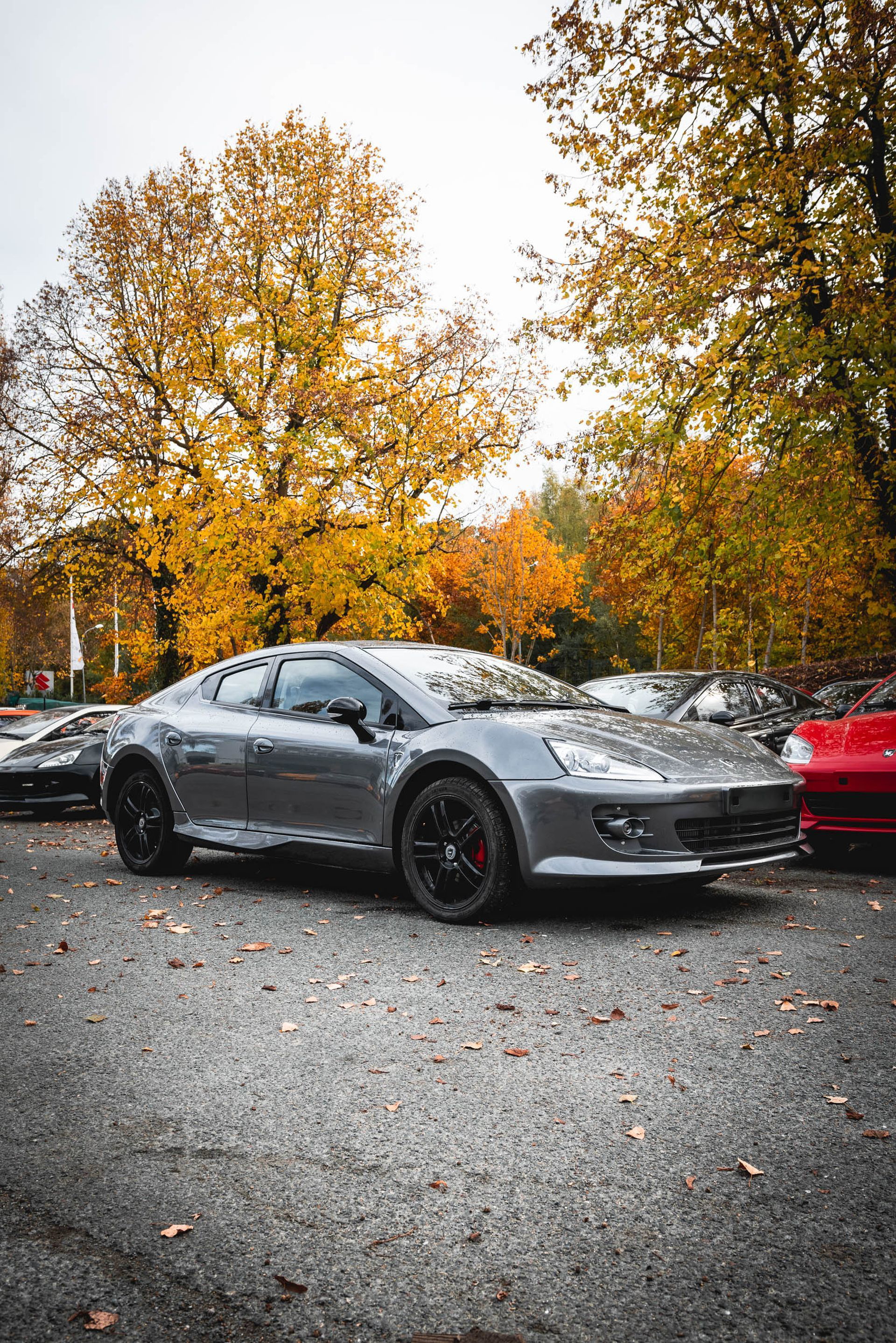 Mpm Erelis Deportivo Low Cost 11