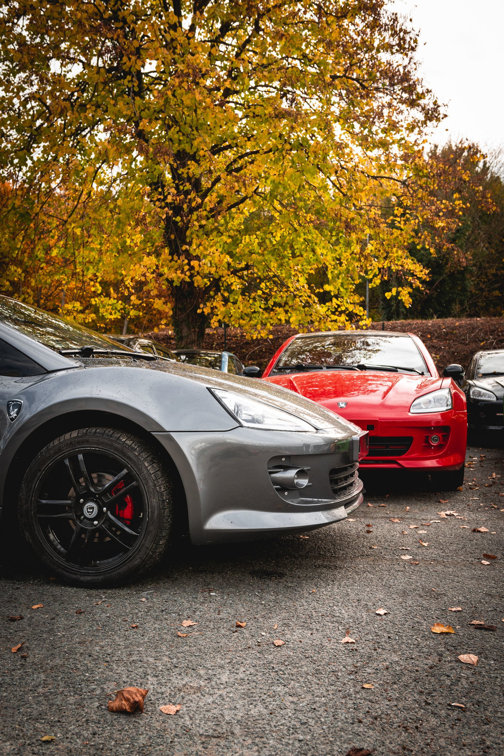 Mpm Erelis Deportivo Low Cost 7