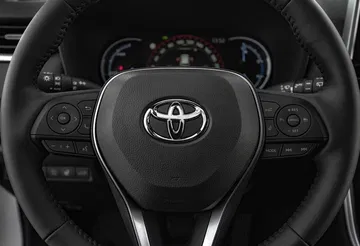 Toyota Rav4 2019 0119 015 Volante