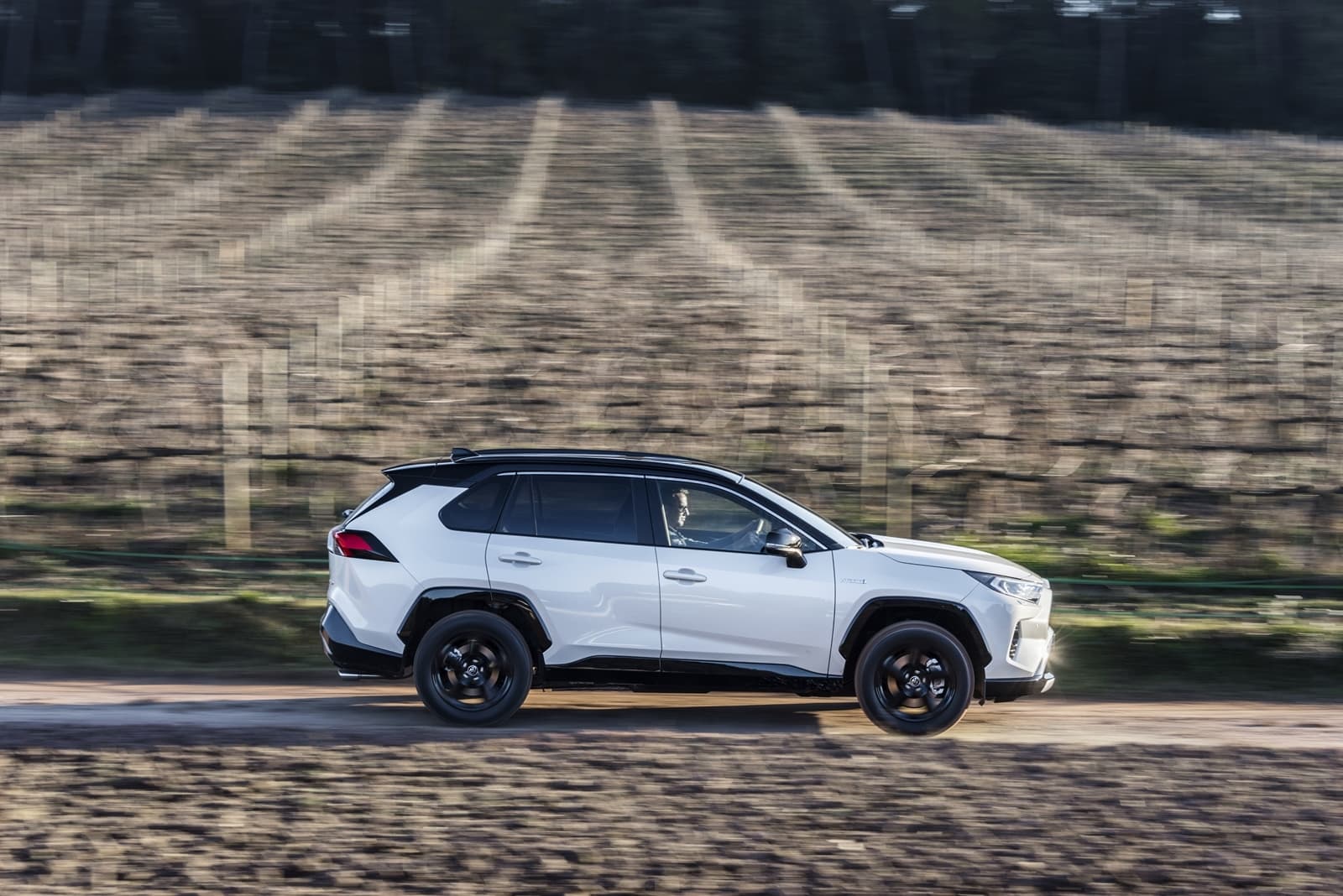 Toyota Rav4 2019 0119 092