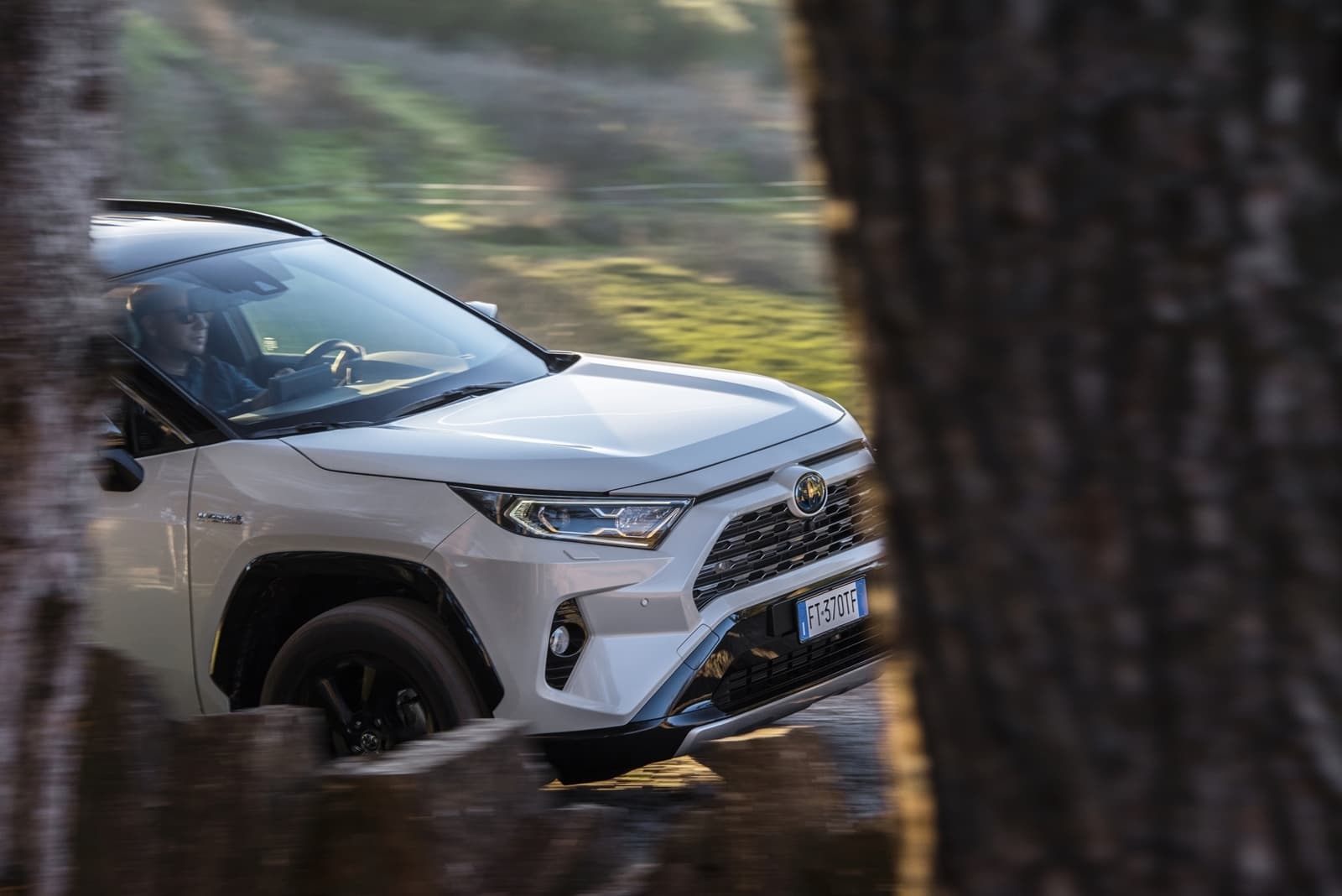 Toyota Rav4 2019 0119 094
