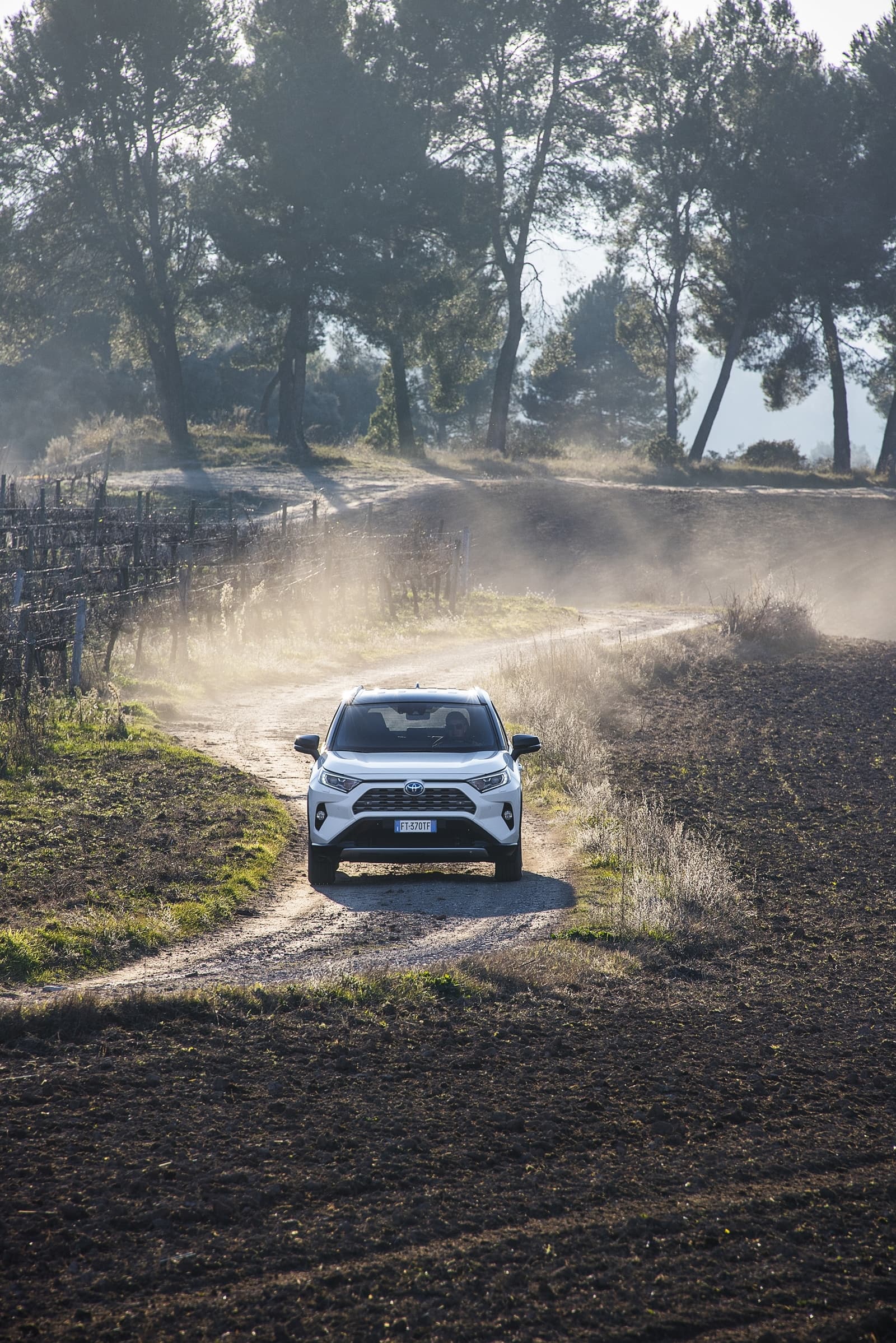Toyota Rav4 2019 0119 098