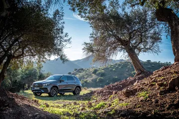 Mercedes Amg Gle 53 4matic 2019 Exterior Gris 13
