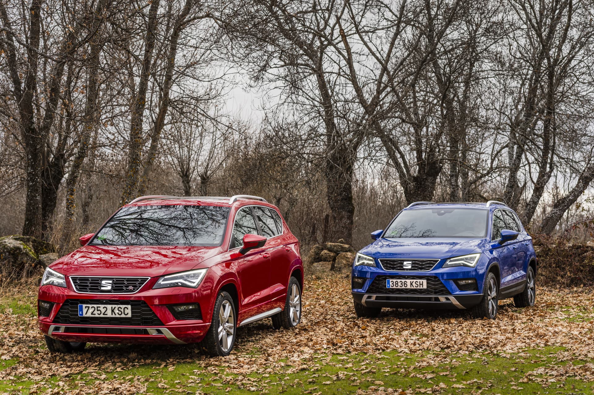 Nuevos Motores Del Seat Ateca Ya Disponibles 03 Hq