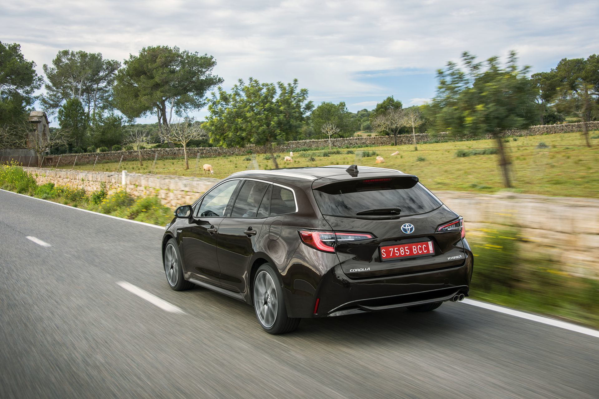 Toyota Corolla Touring Sport 8 Marron