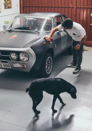 Video Alfa Romeo Hector Coche Clasico Dm Alfa Hec 10