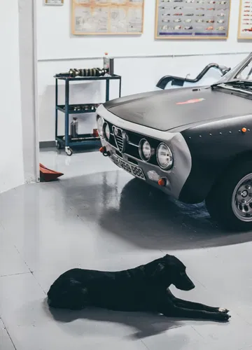 Video Alfa Romeo Hector Coche Clasico Dm Alfa Hec 11