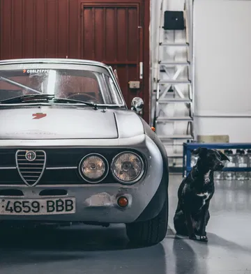 Video Alfa Romeo Hector Coche Clasico Dm Alfa Hec 12