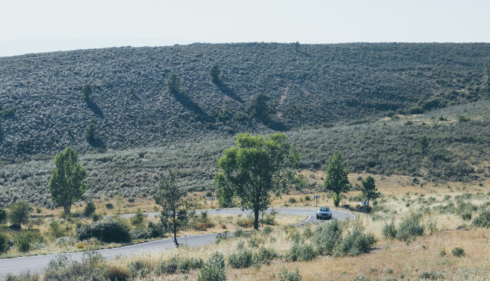 Video Alfa Romeo Hector Coche Clasico Dm Alfa Hec 27