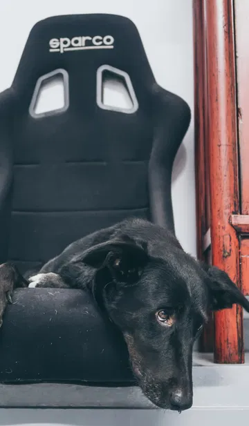 Video Alfa Romeo Hector Coche Clasico Dm Alfa Hec 52