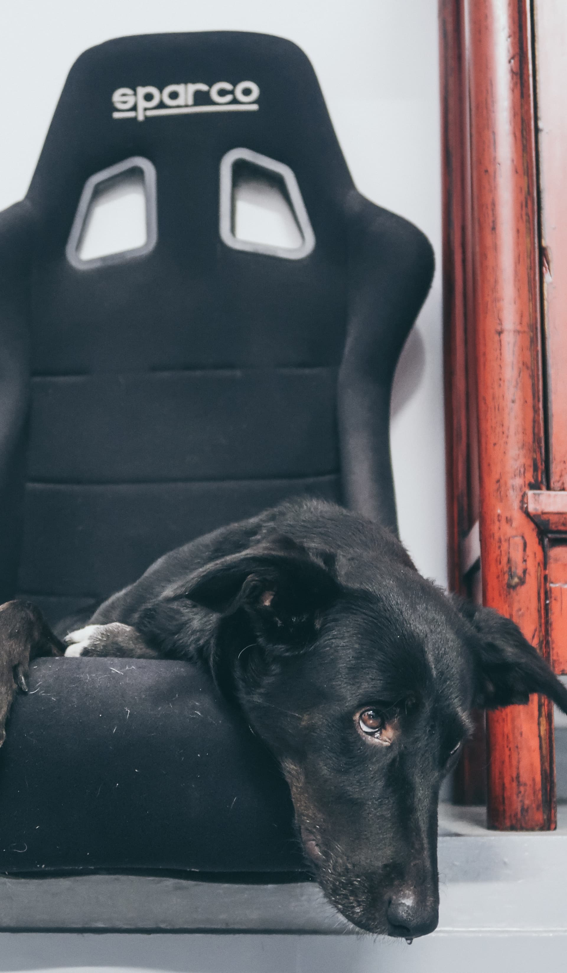 Video Alfa Romeo Hector Coche Clasico Dm Alfa Hec 52