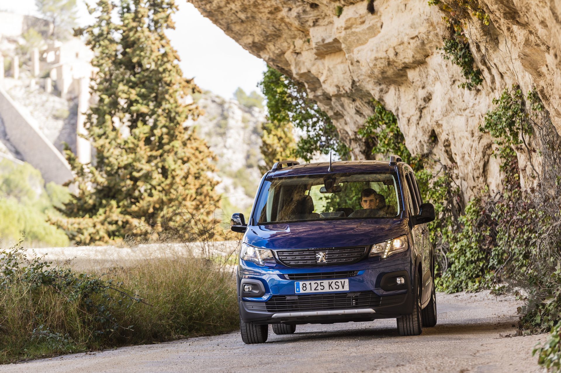 Peugeot Rifter Long 2019 10