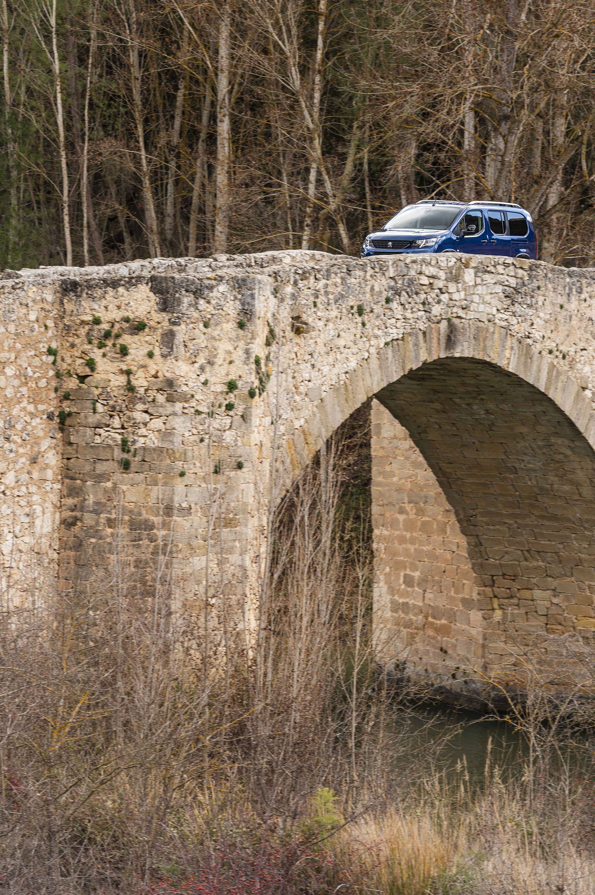Peugeot Rifter Long 2019 21