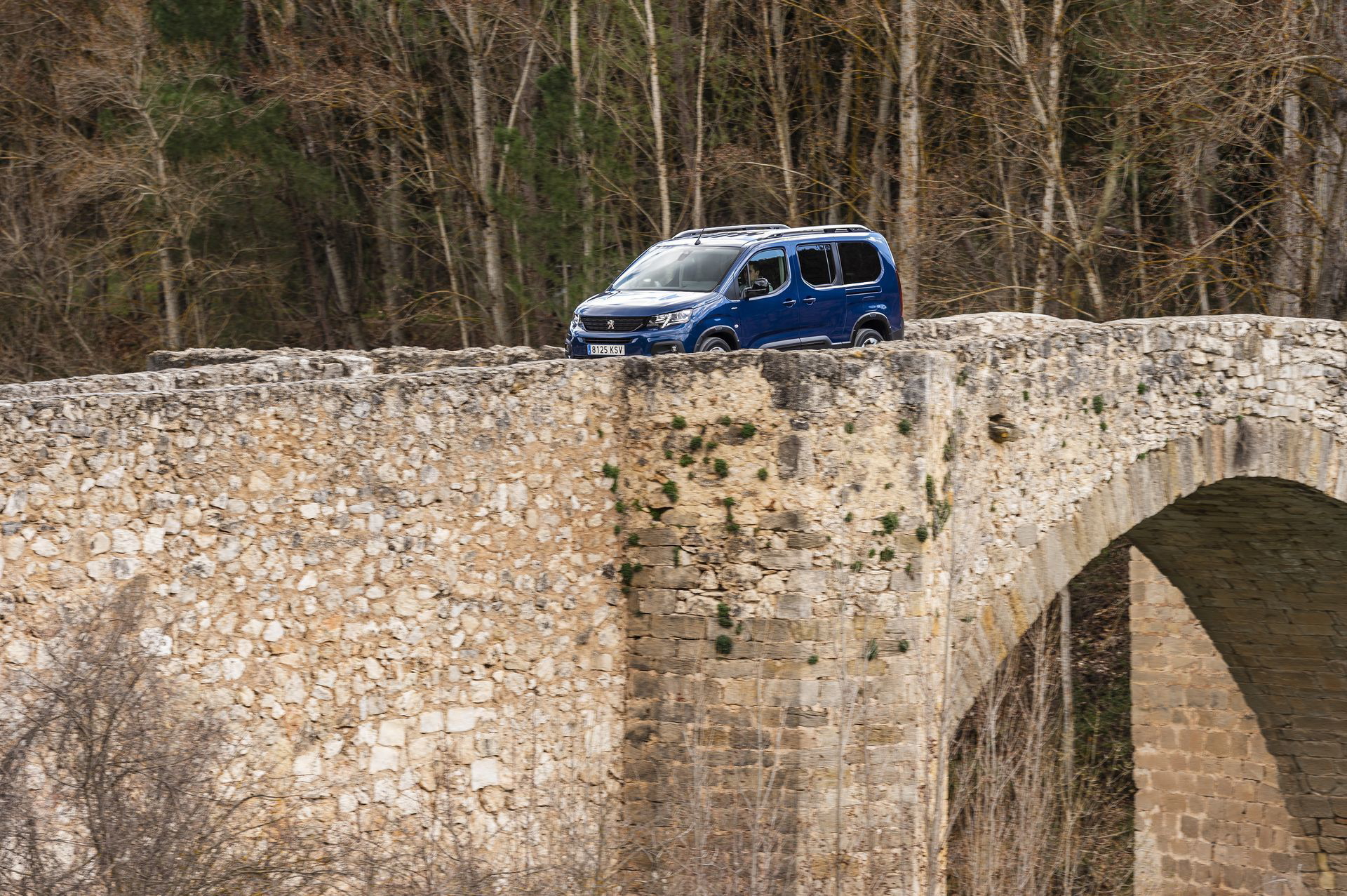 Peugeot Rifter Long 2019 23