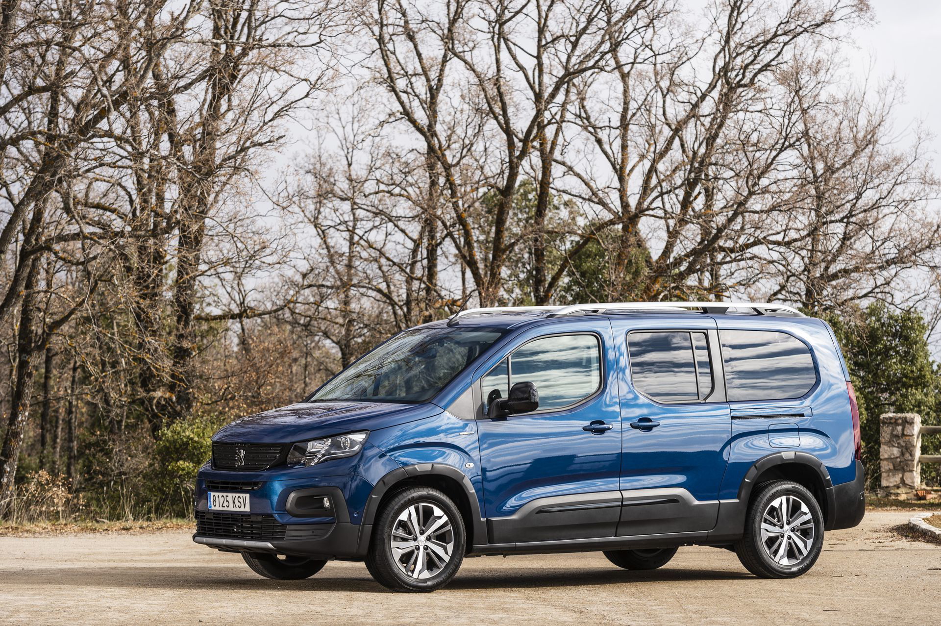 Peugeot Rifter Long 2019 27
