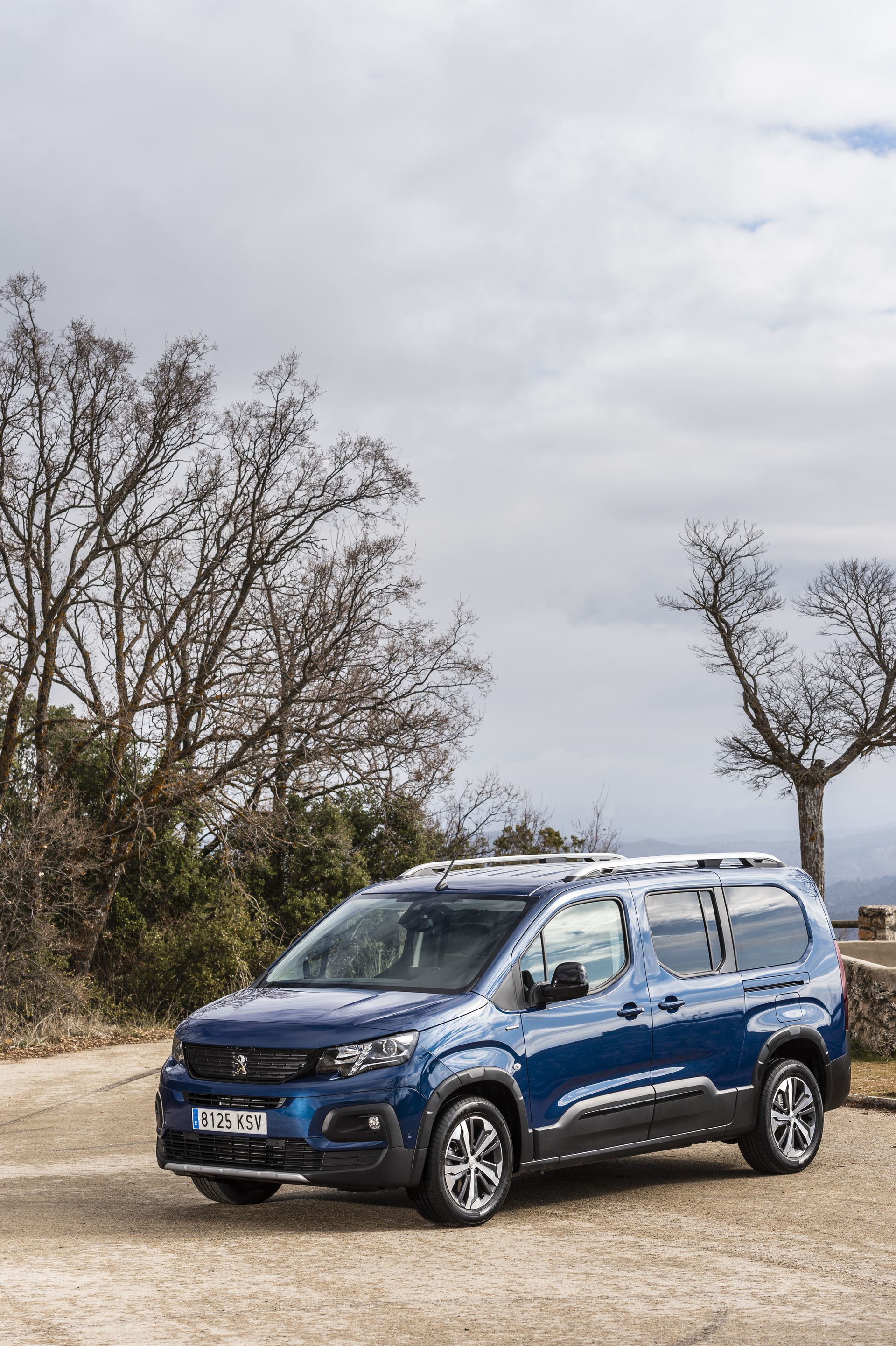 Peugeot Rifter Long 2019 29