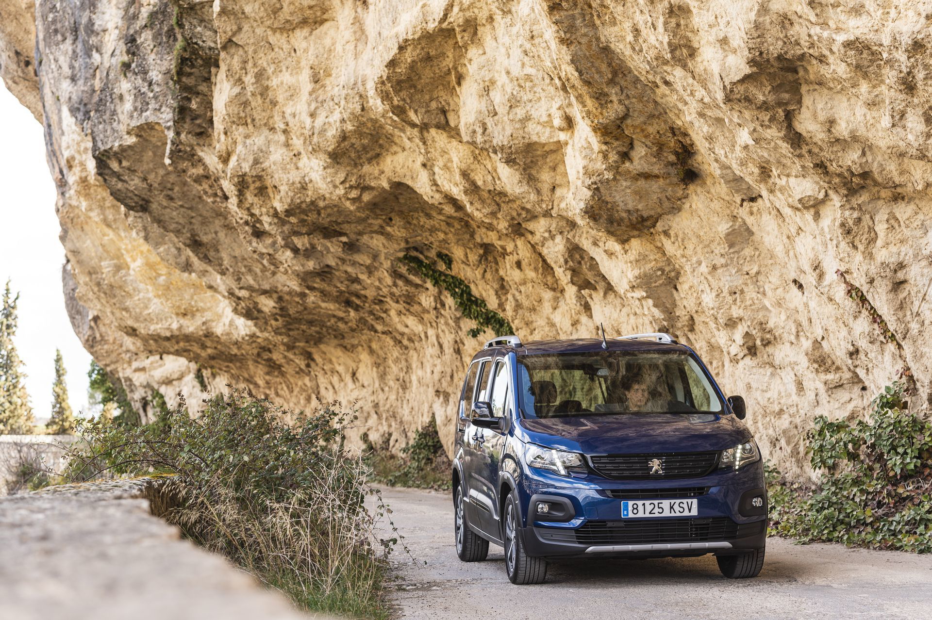 Peugeot Rifter Long 2019 3