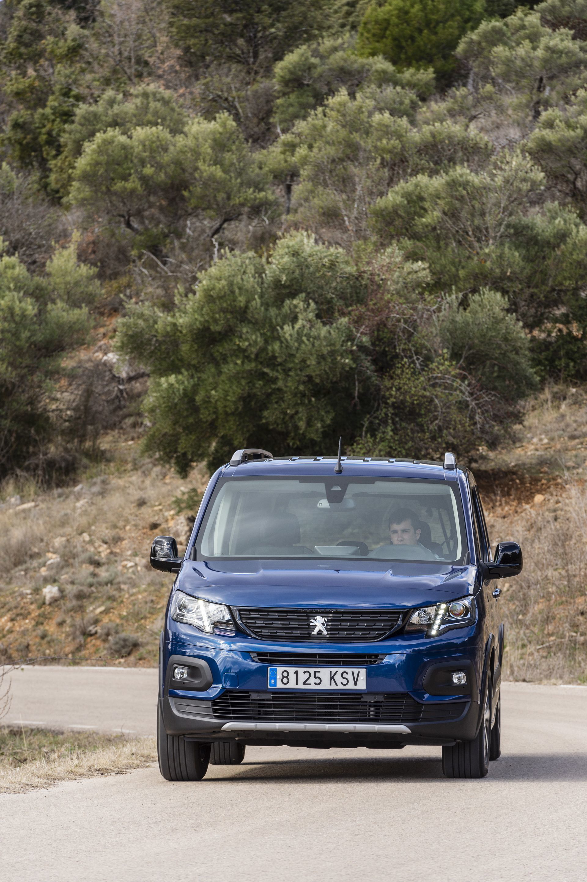 Peugeot Rifter Long 2019 45
