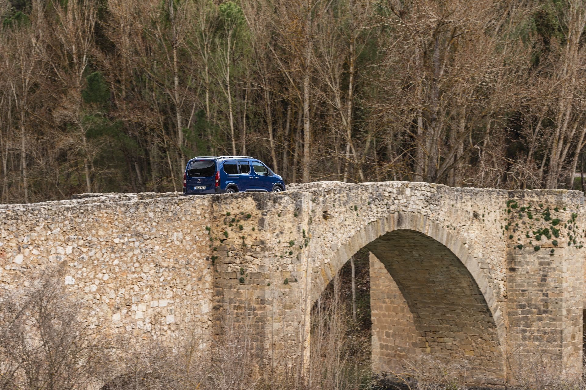 Peugeot Rifter Long 2019 78