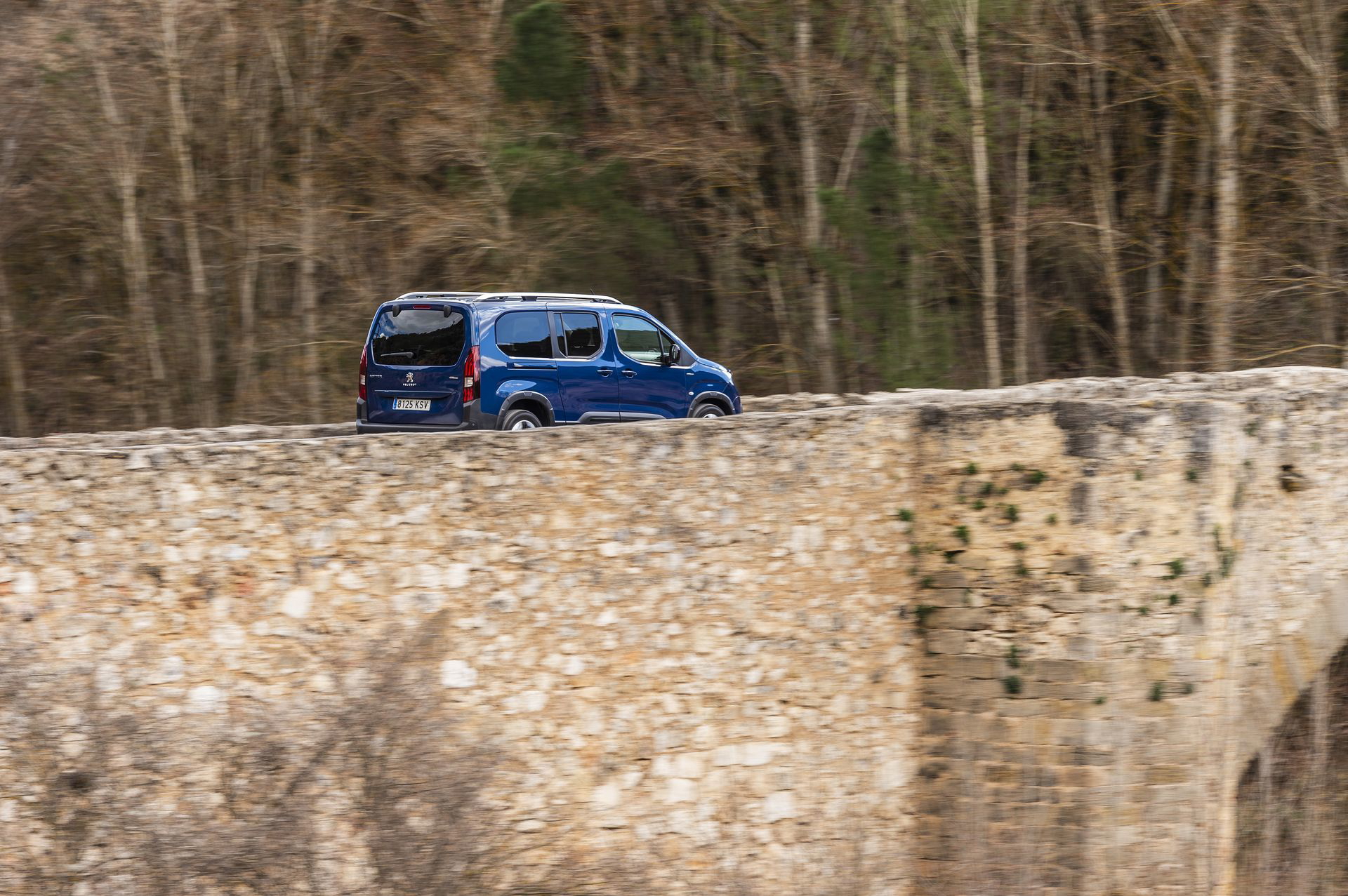Peugeot Rifter Long 2019 79