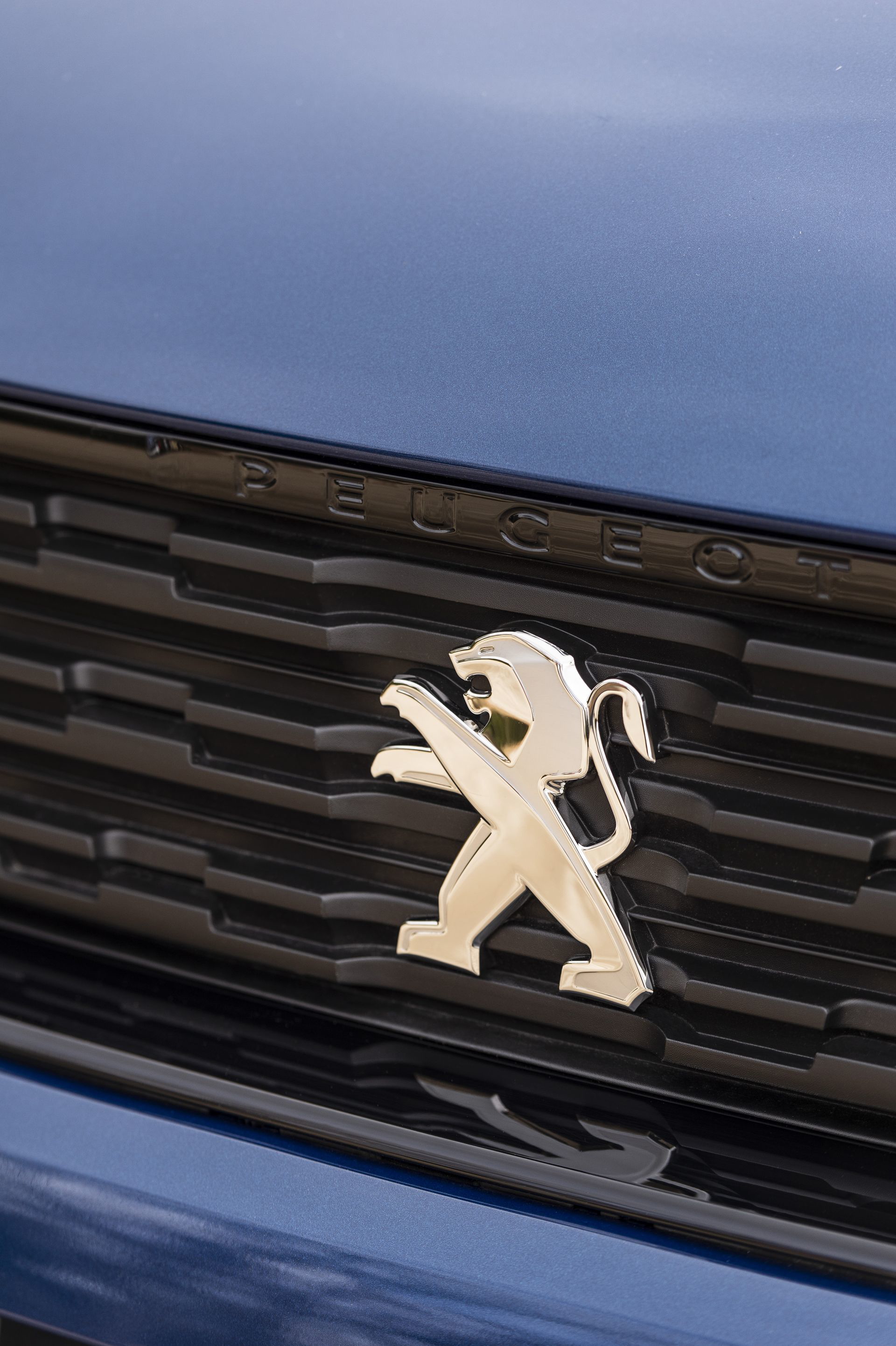 Peugeot Rifter Long 2019 82