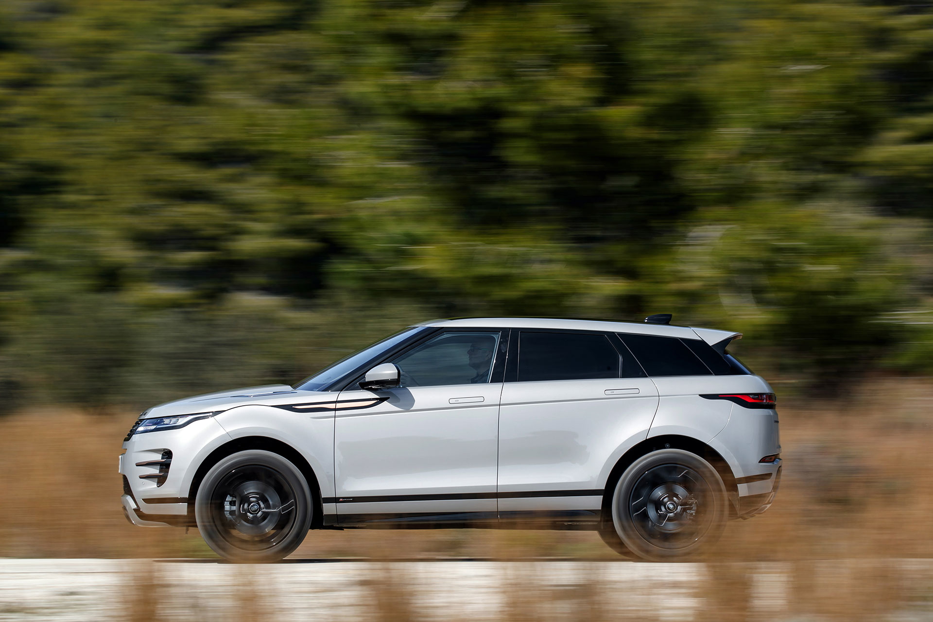 Range Rover Evoque 2019 Gris Movimiento 69