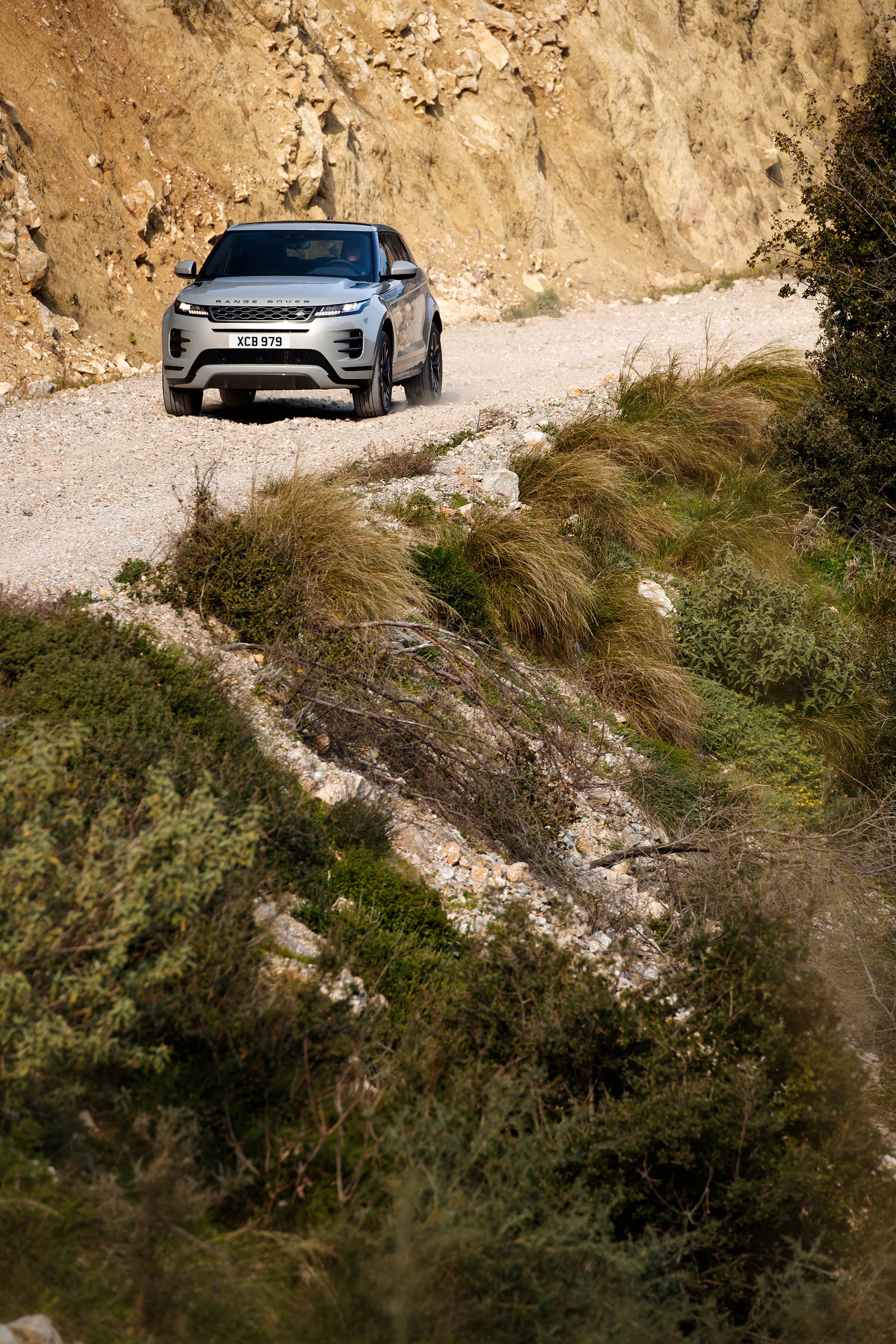 Range Rover Evoque 2019 Gris Todoterreno 18