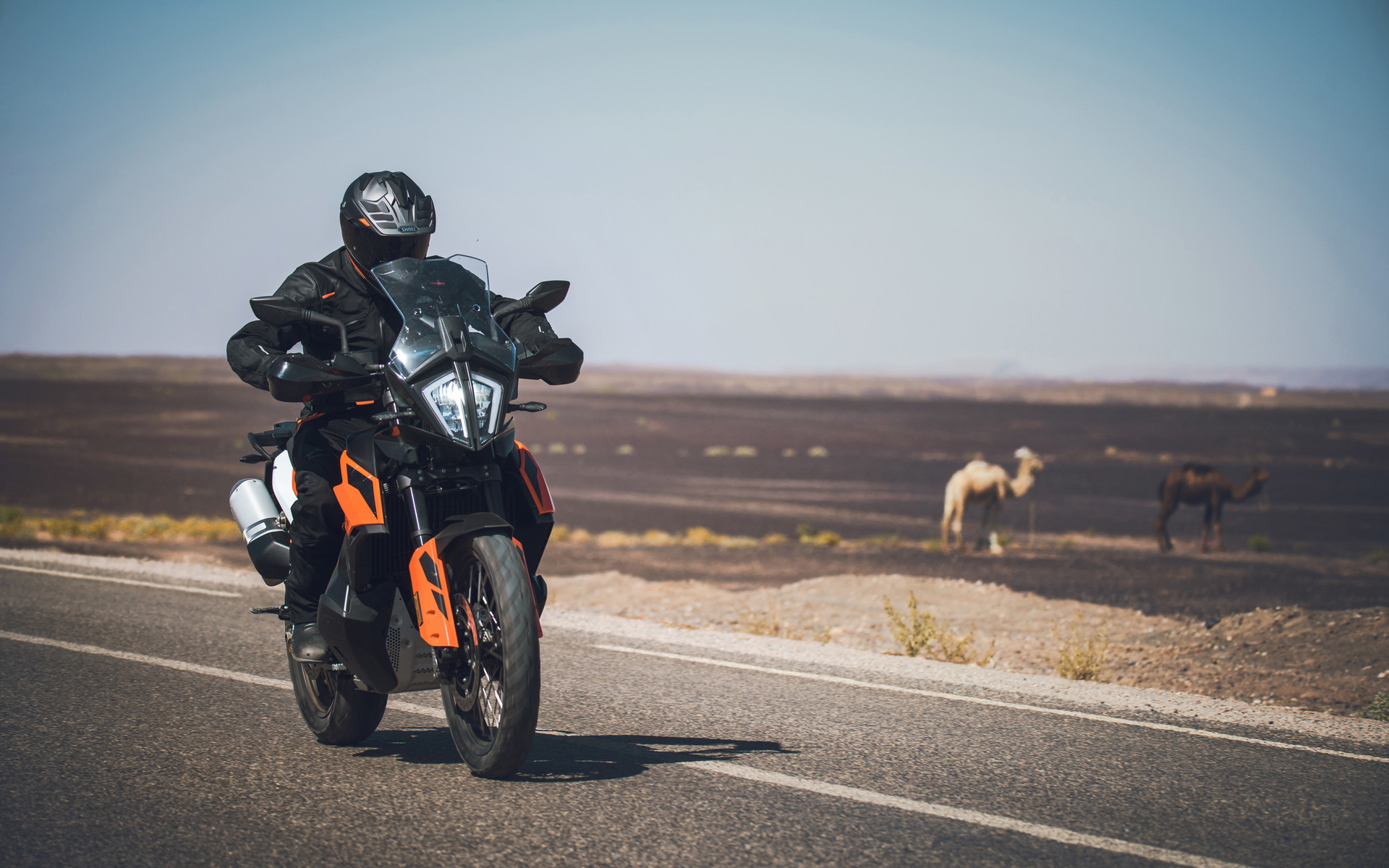 Ktm 269241 790 Adventure Media Launch Morocco 2019