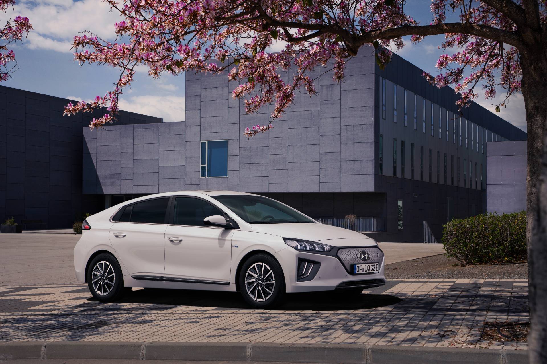 Hyundai Ioniq Electric 2019 1